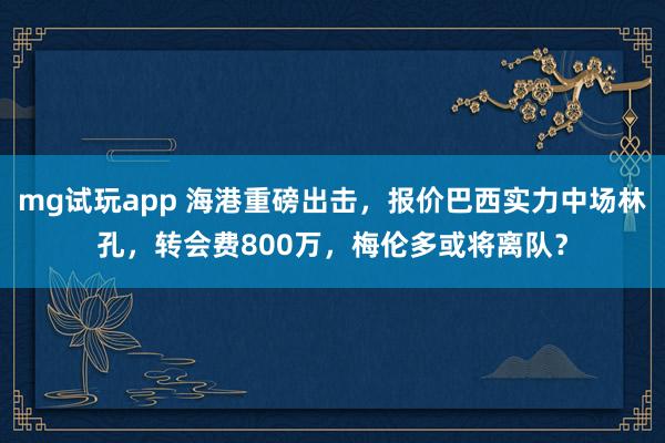 mg试玩app 海港重磅出击，报价巴西实力中场林孔，转会费800万，梅伦多或将离队？