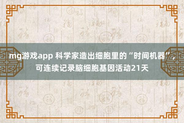 mg游戏app 科学家造出细胞里的“时间机器”，可连续记录脑细胞基因活动21天