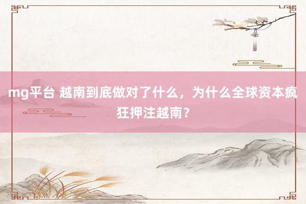 mg平台 越南到底做对了什么，为什么全球资本疯狂押注越南？