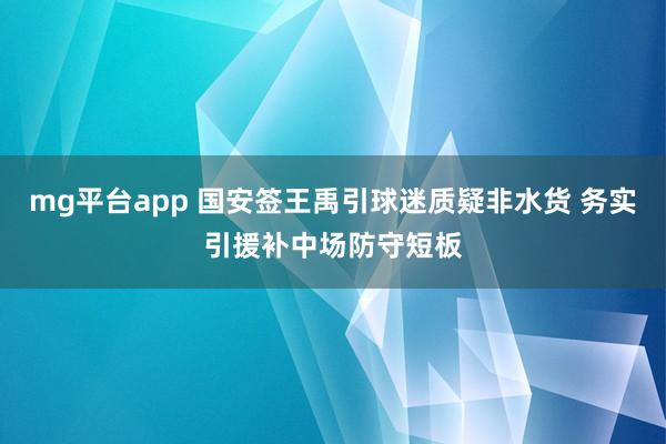 mg平台app 国安签王禹引球迷质疑非水货 务实引援补中场防守短板