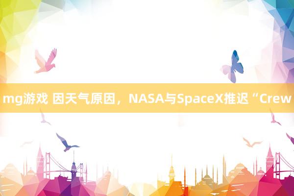 mg游戏 因天气原因，NASA与SpaceX推迟“Crew