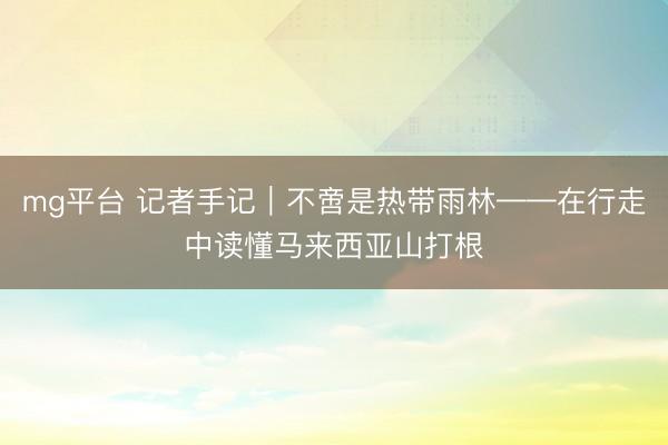 mg平台 记者手记|不啻是热带雨林——在行走中读懂马来西亚山打根