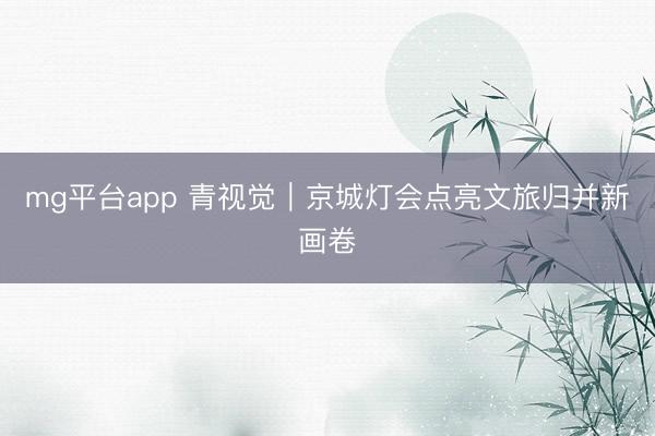 mg平台app 青视觉|京城灯会点亮文旅归并新画卷