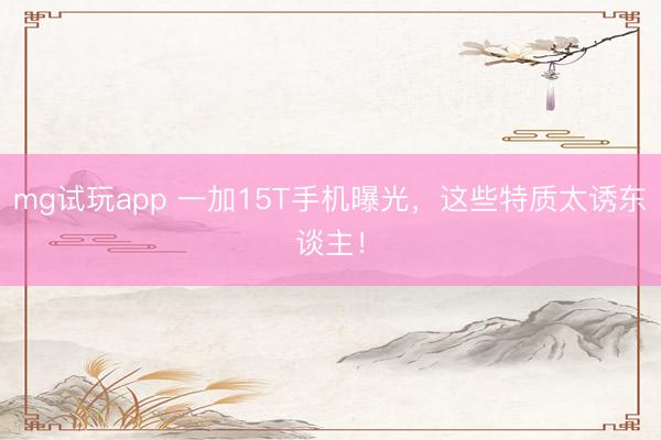 mg试玩app 一加15T手机曝光，这些特质太诱东谈主！